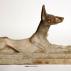 Откриени 8 милиони мумии на кучиња
